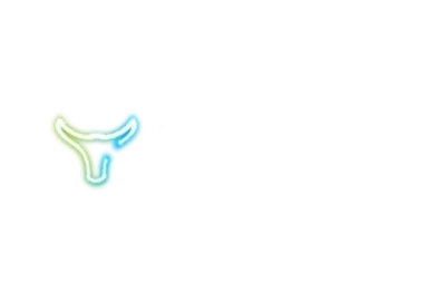 Toro Energy